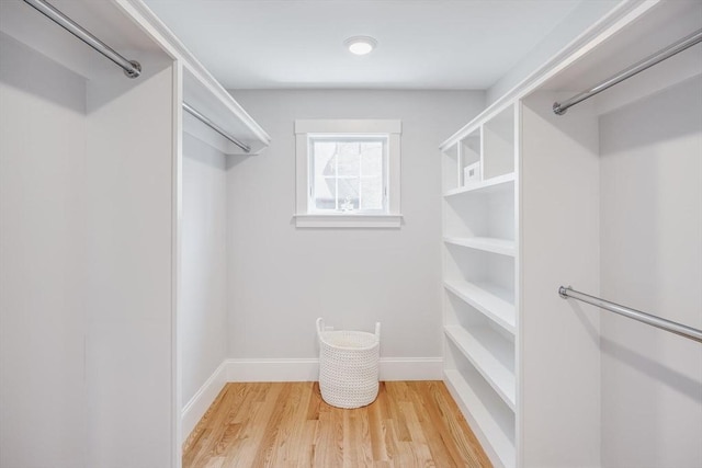 walk in closet with light wood-type flooring