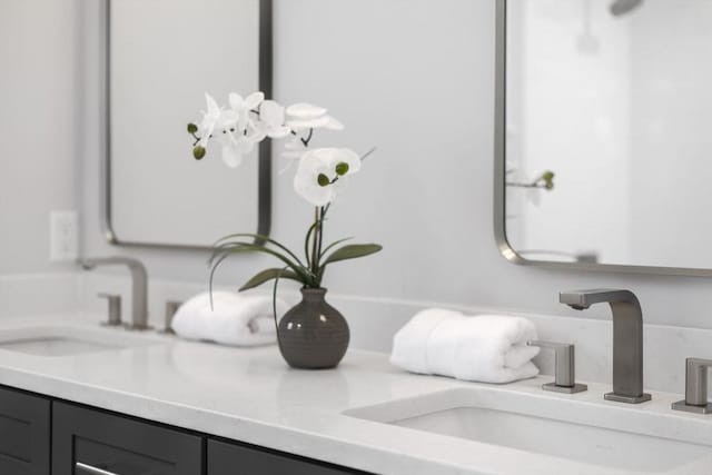 details with double vanity and a sink