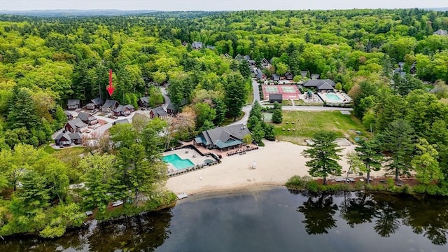 3 Chipmunk Trl Unit 3, Westford, MA 01886 - drone / aerial view of a forest, a nearby body of water, and a pool area