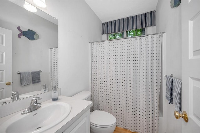 3 Chipmunk Trl Unit 3, Westford, MA 01886 - bathroom with toilet, vanity, shower / bath combo with shower curtain, and lofted ceiling