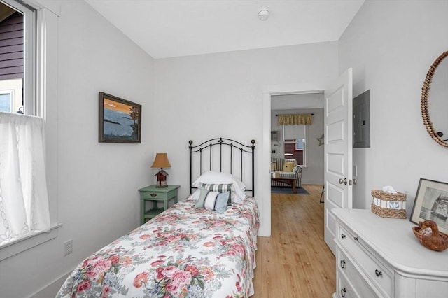 3 Chipmunk Trl Unit 3, Westford, MA 01886 - bedroom with electric panel and light wood-type flooring