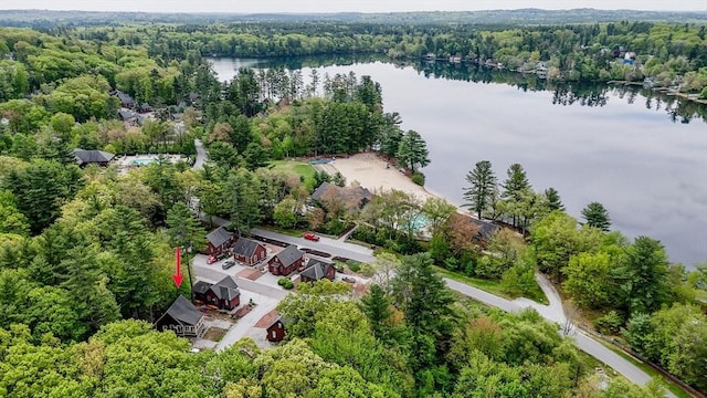 3 Chipmunk Trl Unit 3, Westford, MA 01886 - drone / aerial view of a forest and a nearby body of water