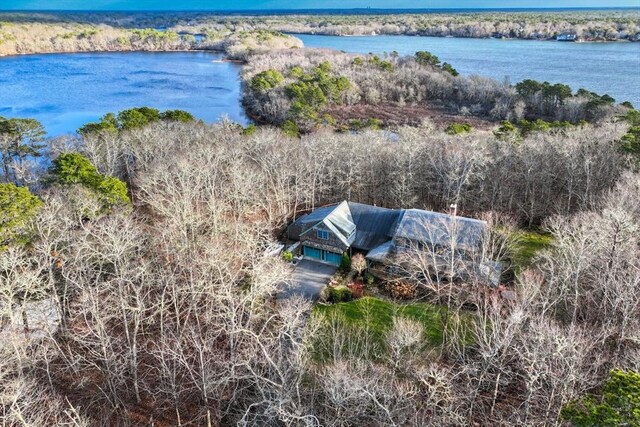 bird's eye view featuring a water view and a view of trees