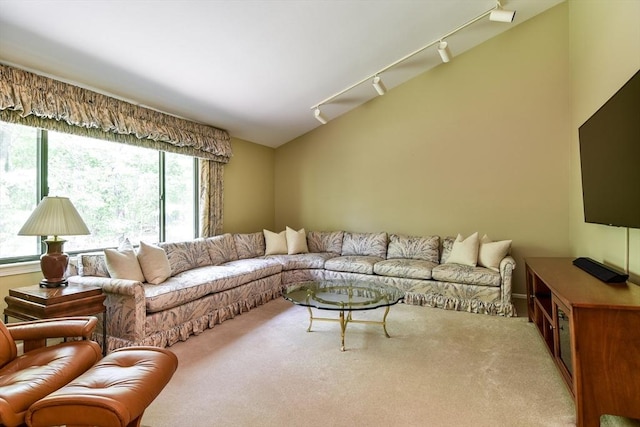 38 Stagecoach Dr, Ashland, MA 01721 - living room with healthy amount of natural light, rail lighting, carpet, and vaulted ceiling