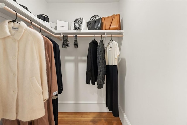 spacious closet with hardwood / wood-style flooring