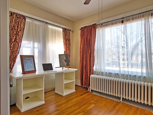 unfurnished office with wood-type flooring, a wealth of natural light, radiator, and ceiling fan