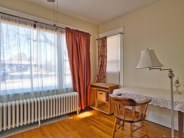 living area with radiator and hardwood / wood-style flooring