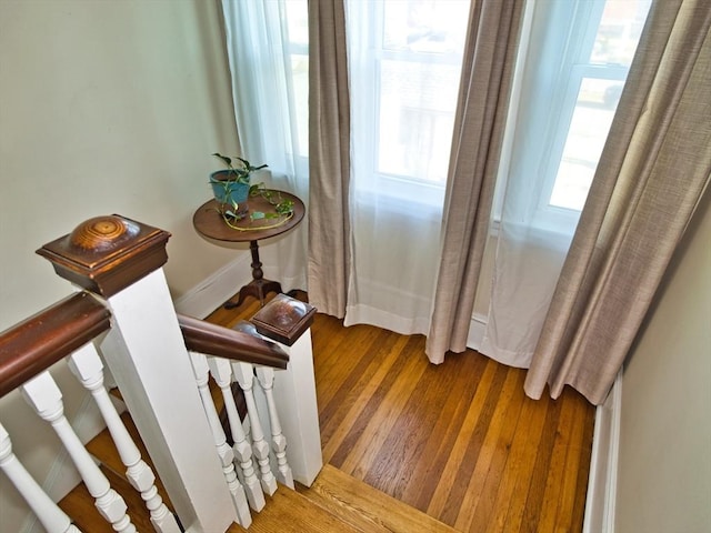 staircase with hardwood / wood-style floors