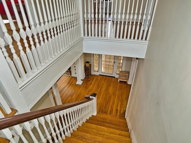 staircase featuring wood-type flooring