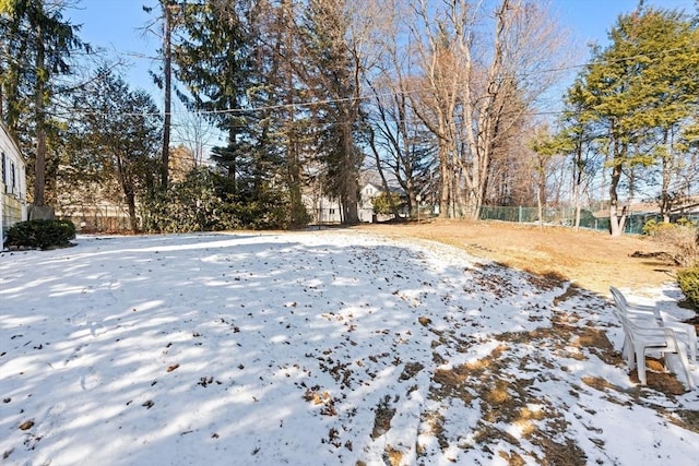 view of yard layered in snow