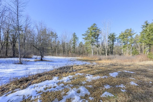 yard covered in snow with a wooded view