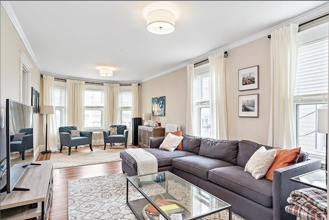 8 Cambridge Ter Unit 2, Cambridge, MA 02140 - living room with ornamental molding and dark wood finished floors