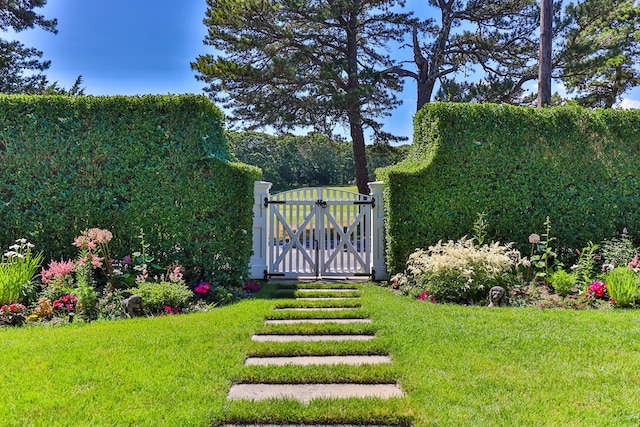 view of gate with a yard