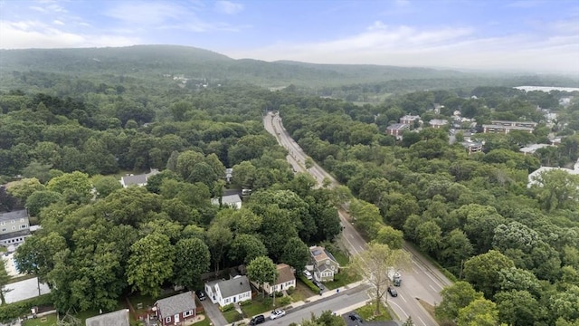 5 Cranmore, Boston, MA 02136 - drone / aerial view of a heavily wooded area