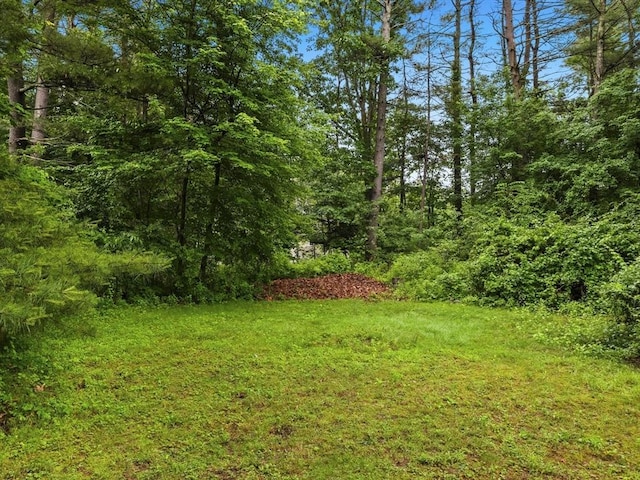 51 Quaboag Rd, Acton, MA 01720 - view of green lawn