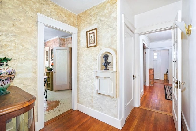 hall featuring crown molding and dark hardwood / wood-style floors