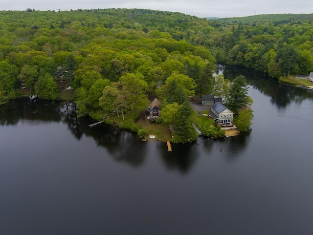 11 Grove Point Rd, Wales, MA 01081 - aerial view of property and surrounding area featuring a heavily wooded area and a nearby body of water