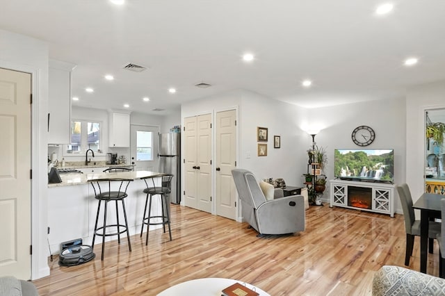 living room featuring light hardwood / wood-style floors and sink