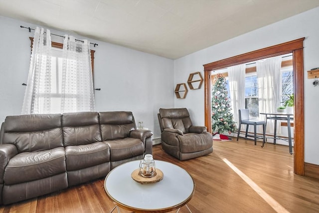 living room with hardwood / wood-style floors, plenty of natural light, and baseboard heating