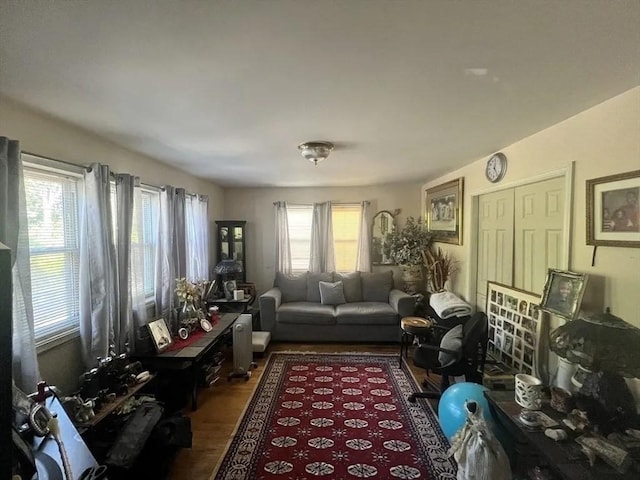 living area featuring dark hardwood / wood-style floors