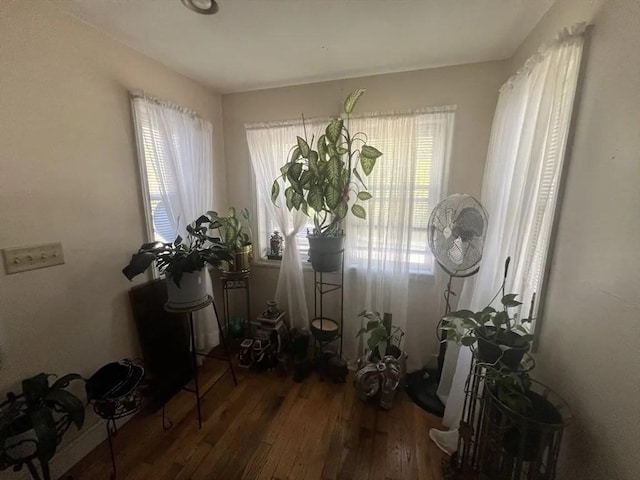 interior space featuring a healthy amount of sunlight and hardwood / wood-style flooring