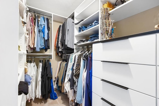 walk in closet with carpet flooring