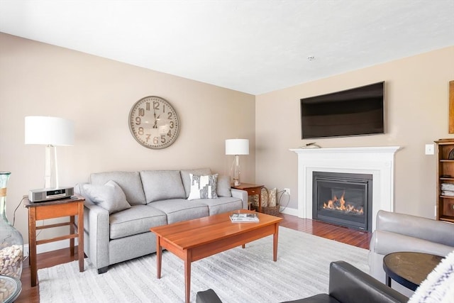 living area featuring a glass covered fireplace and wood finished floors