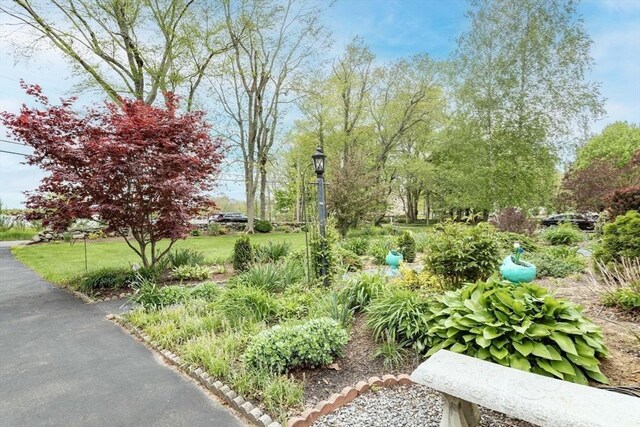 374 Forest St, Raynham, MA 02767 - view of home's community