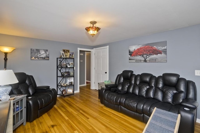 living room with wood-type flooring