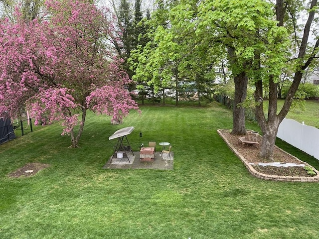 view of yard featuring a patio