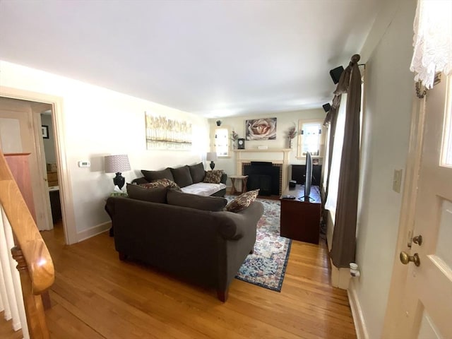 living room with a fireplace and light hardwood / wood-style flooring