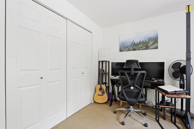 office featuring carpet flooring
