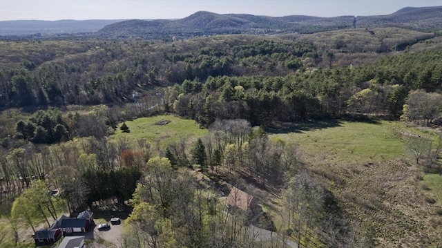 drone / aerial view with a forest view and a mountain view