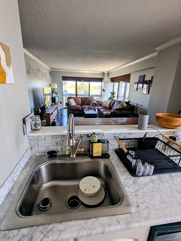 kitchen view of a sink, a textured ceiling, ornamental molding, and light countertops
