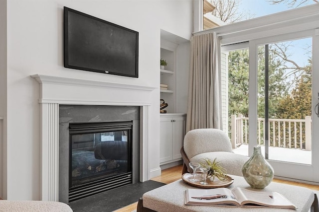 living area with built in shelves and a premium fireplace