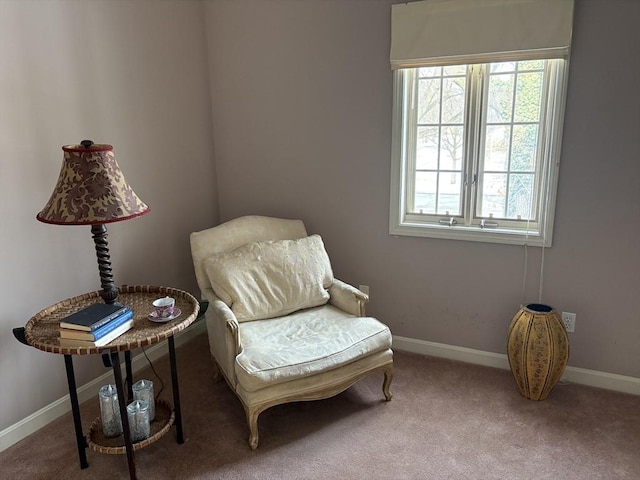 sitting room with carpet floors