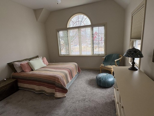 bedroom featuring lofted ceiling, carpet floors, and multiple windows