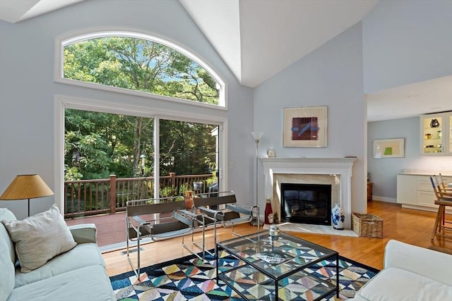 15 Berrywood Ct Unit 15, Bourne, MA 02532 - living room featuring a high end fireplace, wood finished floors, and high vaulted ceiling