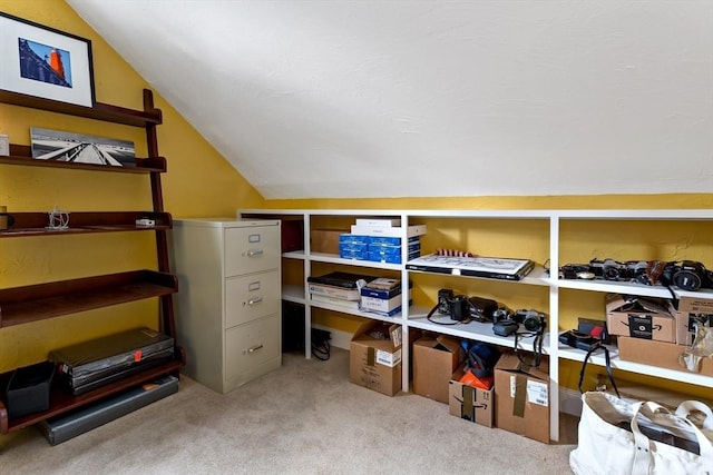 15 Berrywood Ct Unit 15, Bourne, MA 02532 - view of storage area