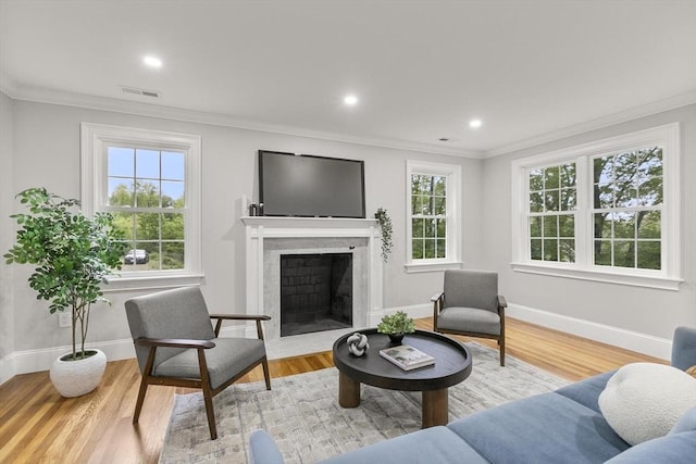 315 Maple Ave, Shrewsbury, MA 01545 - living area with plenty of natural light, baseboards, wood finished floors, ornamental molding, and a high end fireplace