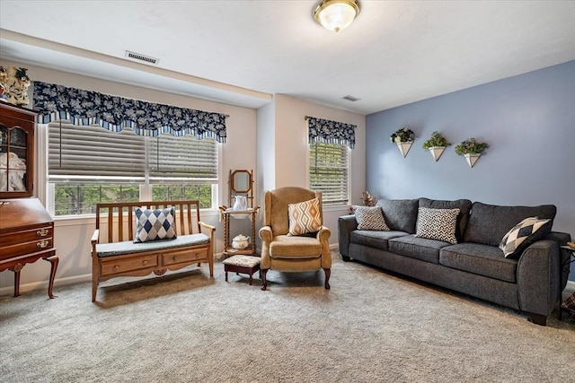 63 Shrine Ave Unit 1, West Boylston, MA 01583 - living room featuring carpet flooring and baseboards