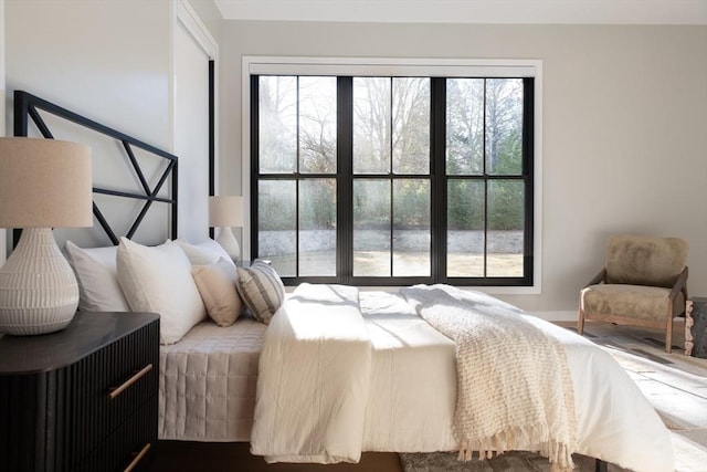 bedroom with multiple windows