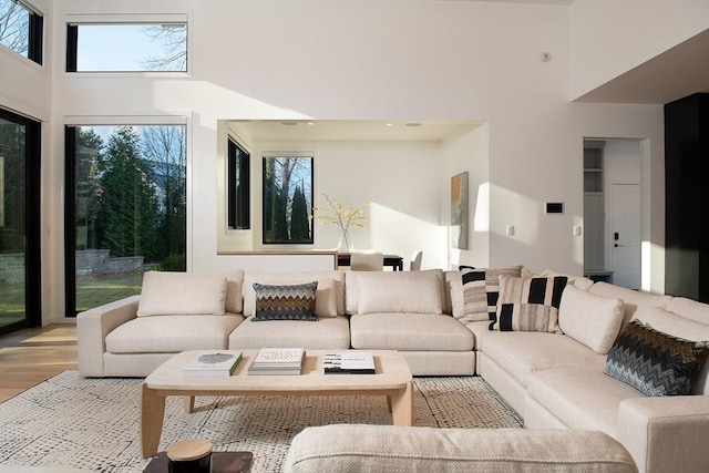 living room featuring a towering ceiling and light hardwood / wood-style floors