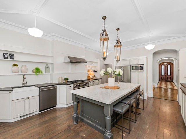 kitchen featuring high quality appliances, sink, pendant lighting, and range hood