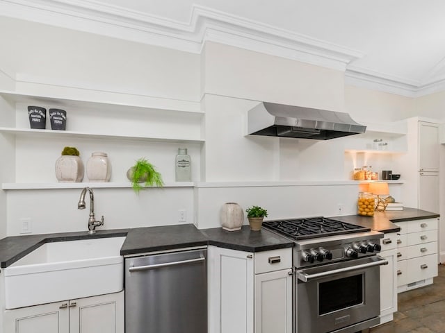 kitchen with white cabinetry, sink, range hood, appliances with stainless steel finishes, and ornamental molding