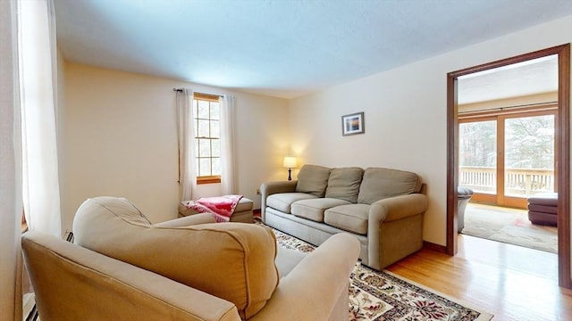 living room featuring light hardwood / wood-style flooring