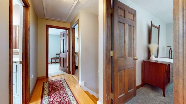 corridor featuring light hardwood / wood-style flooring