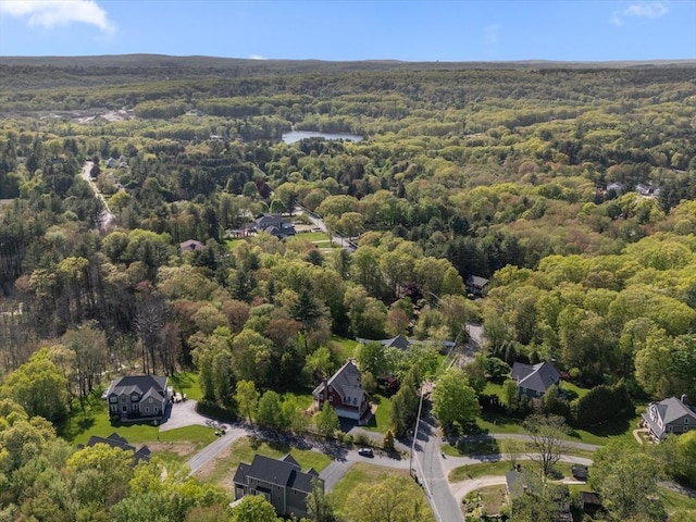231 Gulf St, Shrewsbury, MA 01545 - aerial overview of property's location featuring a forest