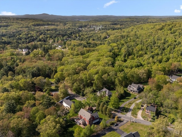 231 Gulf St, Shrewsbury, MA 01545 - aerial overview of property's location with a forest
