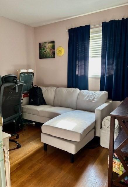 living room featuring hardwood / wood-style floors